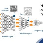 Deep Learning Network Optimization